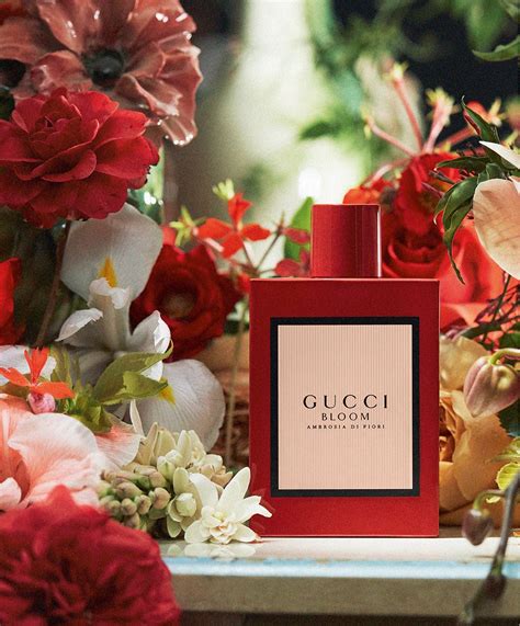 gucci bloom 5 oz